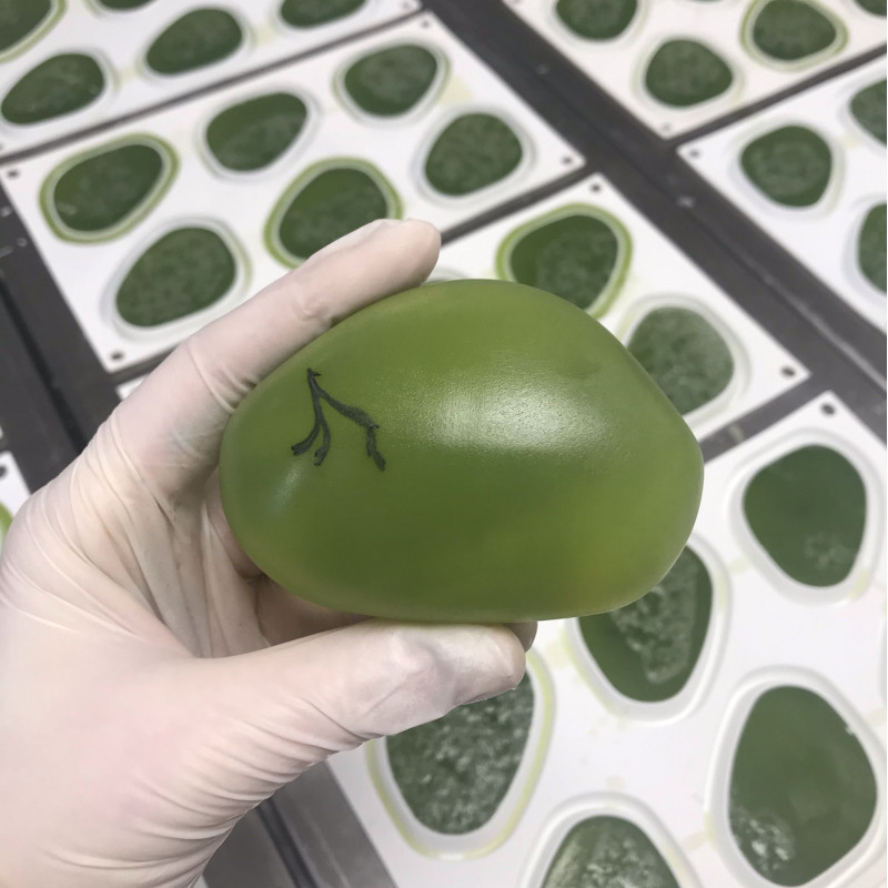 Galet de savon aux Algues