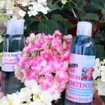 Gel douche hortensias Ma Kibell