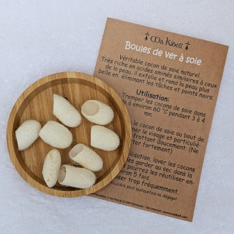 Lot 3 cocons ver à soie