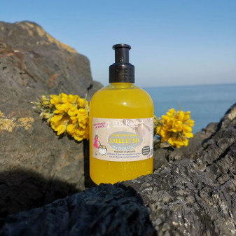 Distributeur de potion Genêt