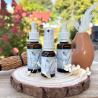 Trio Elixirs Floraux