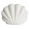Savon exfoliant à la poudre de Coquille Saint-Jacques