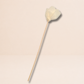 Roses en rotin (lot de 10)
