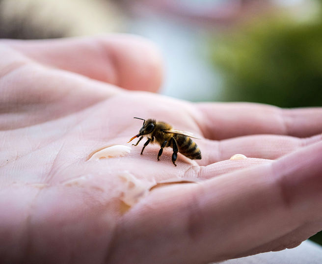 Femme qui s'applique une cr&egrave;me sur le visage
